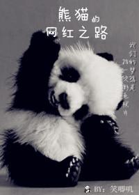 春熙路网红熊猫