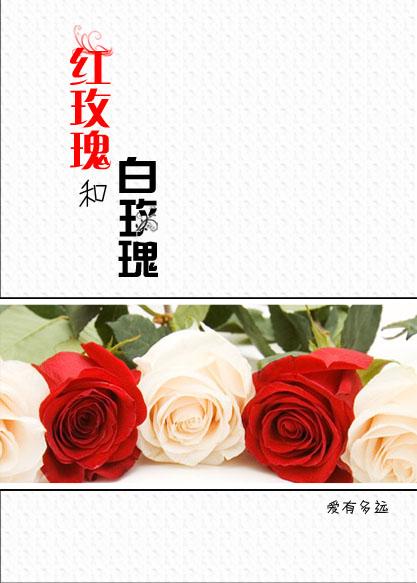 红玫瑰和白玫瑰张爱玲分别代表了什么